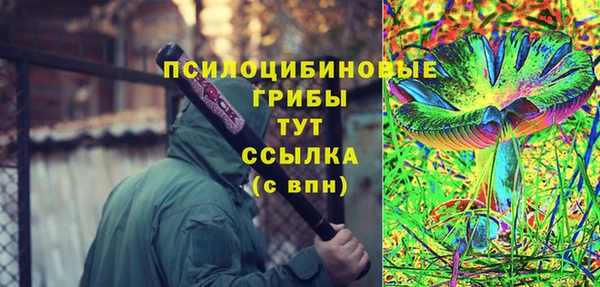 ПСИЛОЦИБИНОВЫЕ ГРИБЫ Алзамай