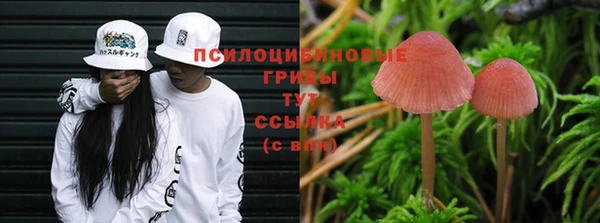 ПСИЛОЦИБИНОВЫЕ ГРИБЫ Алзамай