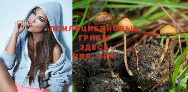 MDMA Premium VHQ Алексин