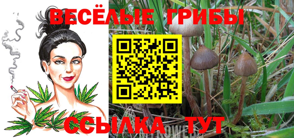 Галлюциногенные грибы ЛСД Амурск